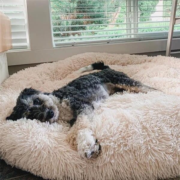 SnuggleCloud ™ - Anti-Anxiety Calming Dog Bed