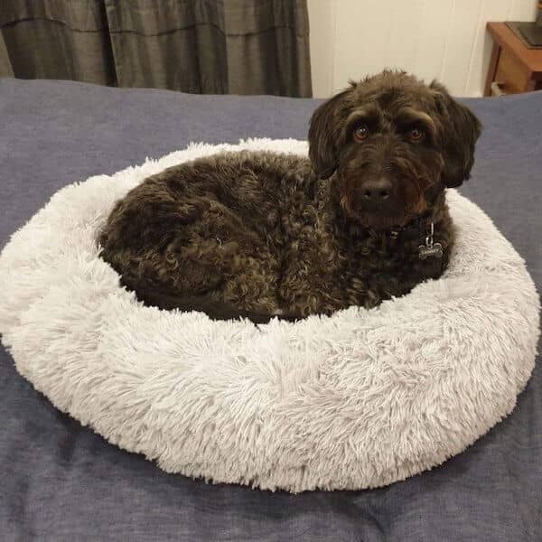 SnuggleCloud ™ - Anti-Anxiety Calming Dog Bed