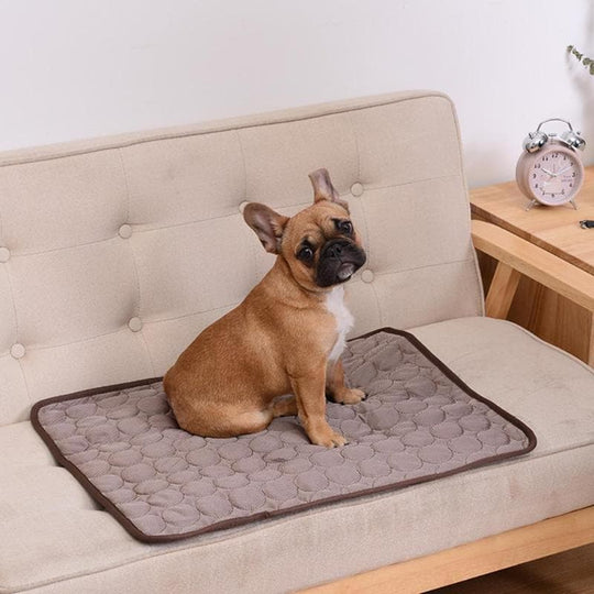 SnuggleCloud ™ icy Dog Cooling Mat