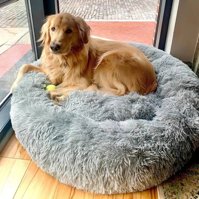 SnuggleCloud ™ - Anti-Anxiety Calming Dog Bed